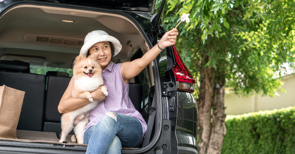 7 Great SUVs for Dog Parents